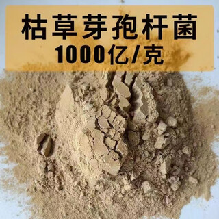 Bacillus subtilis 100 billion bio-bacteria fertilizer, aquaculture, agricultural planting, water-soluble fertilizer, universal type 1jin jin is equal to 0.5kg, packed