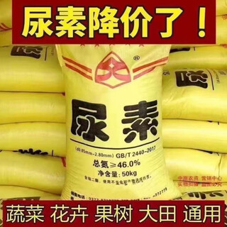 Ywzr russian urea fertilizer vegetable household original vegetable flower fruit tree corn nitrogen fertilizer agricultural universal type high urea 100jin jin equal to 0.5kg large particles