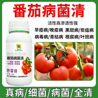 Tomato disease bacteria clearing microbial bacteria tomato disease botrytis botrytis anthrax fungicide non-toxic bacteria-inhibiting bacteria best selling tomato bacteria clearing tomato bacteria clearing 100g 5 bottles