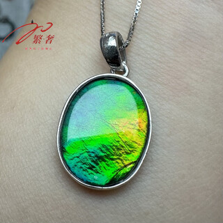 Luxurious natural canadian ammonite 925 silver pendant necklace 16*12