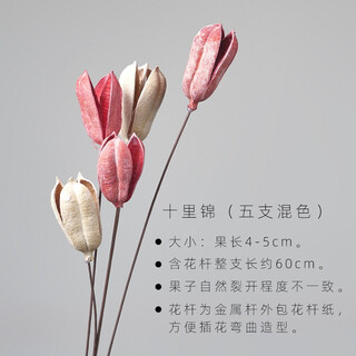 Aesthetic hacker living room flower arrangement dried flower bouquet real flower mix and match floor furnishing restaurant desktop pinecone decoration natural photo props shili brocade mixed color 5 count