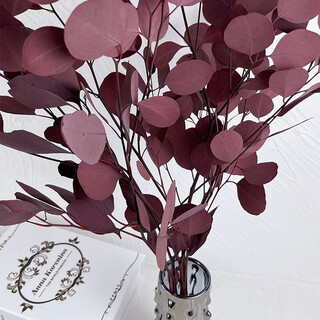 Immortal apple eucalyptus eucalyptus real flower interior decoration ornaments nordic style yunnan immortal flower red 50-70cm approximately 100g a bouquet