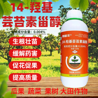 Aofeng brassinolide 14-hydroxybrassinosteroid plant growth regulator promotes flowering, fruit and yield 1000ml (3 bottles)