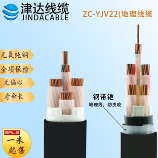 Jinda cable national standard inspection yjv wire and cable 10-240 square meters engineering cable power outdoor engineering power cable (1) no. 10102287986137 jinda yjv3*10 (1 meter)