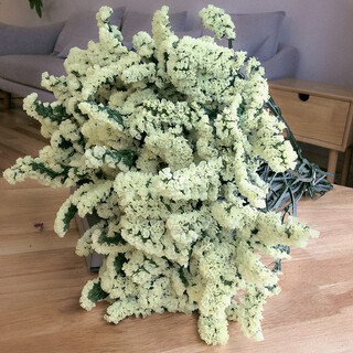 Aiman yunnan natural style forget-me-not dried flower bouquet real flower decoration living room small and large flower arrangement theory jin jin is equal to 0.5 kg, sold as a gift, yellow forget-me-not, a total of 50 pieces, semi-dried branches