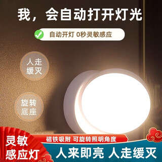 Nuofeng intelligent human body sensor lamp rechargeable light control toilet household corridor aisle corridor bedroom automatic wireless night light white light rechargeable + additional dry batteries