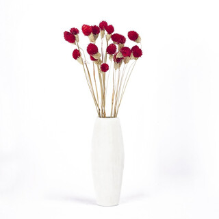 Dried flower bouquet, plant dried flowers, real flowers, immortal flowers, forget-me-not dried flowers, multi-color strawberry fruits, dried flowers, office living room coffee table, dining table display, decorative art flower arrangement, small bouquet, 12 red strawberry fruits (not including vase)