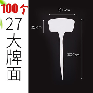 Yong huan noodle gardening ground sign writing plant label experimental plug ground sign succulent label signage ground plug sign 100 small noodles 27cm white