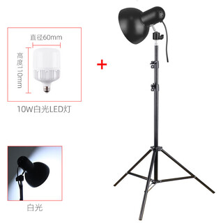 Miscellaneous new still life sketching lamp still life sketching lamp studio art student special sketch spotlight lighting photography lamp creative 2 meter sketching lamp + 10w white light