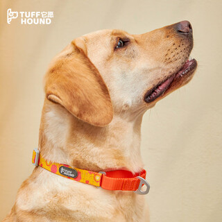 Tuff hound it is willing for dogs to prevent break-away half p collar leash dog walking leash for small and medium-sized dogs tf028 yellow l size