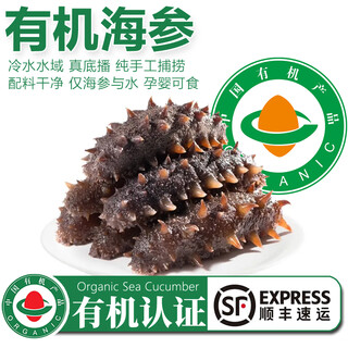 Taihu sea organic sea cucumber, sea cucumber for pregnant women and children, fresh frozen aquatic products, individually packaged ready-to-eat sea cucumber mid-autumn festival gift box, organic sea cucumber-1 jin jin equals 0.5 kg (12-14 heads)