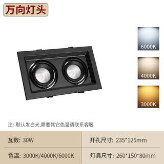 Yilin (yilin) led bold lamp double-headed rectangular tube spotlight grid ceiling embedded home commercial store single grille lamp double-headed black shell 30w bold lamp opening 12.5*23.5