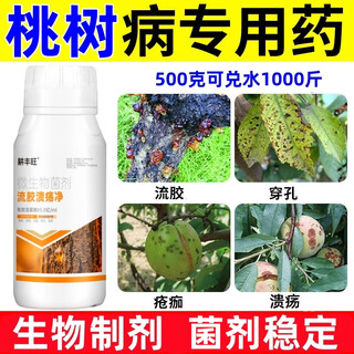 Gengfengwang peach tree gum disease special medicine peach tree gum disease one spray to clean peach tree scab disease perforation canker peach tree gum disease medicine 500ml (can be mixed with 1000jin jin equal to 0.5 kg of water)