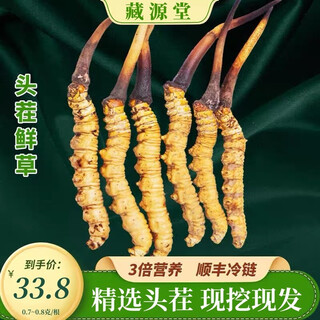 藏区正宗高海拔新鲜冬虫夏草2025年头茬精选鲜虫草节日送礼送领导 新鲜虫草0.6-0.7克/根 10根