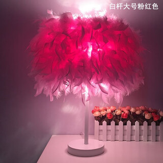 曜添创意简约欧式羽毛台灯卧室床头公主婚房温馨LED生日礼物玫瑰台灯 大号白杆粉红色羽毛 调光开关