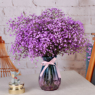 Aiman gypsophila natural dried flower bouquet ins internet celebrity birthday new house decorative ornaments air-dried real flower arrangements home furnishings purple gypsophila with m vase