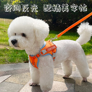 Mastiff shaobao dog leash, pet dog leash, dog chain, harness, dog leash, small dog, medium dog, outdoor pet supplies, s size, recommended 4-10 jin, jin equals 0.5 kg, indoor pet