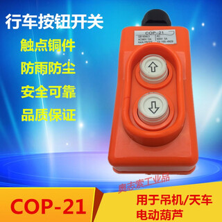 Cop-21p crane direct control switch 380v voltage up and down buttons directly control electric hoist cld-621