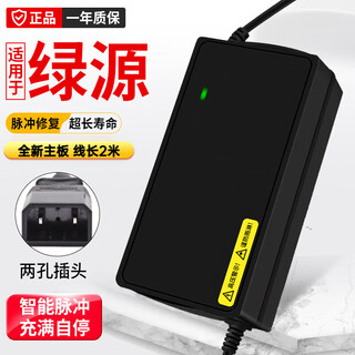 Suitable for luyuan electric vehicle lead-acid charger 48v64v80v96v20e30e luyuan electric vehicle charger brand new 60v30e-2t luyuan two holes