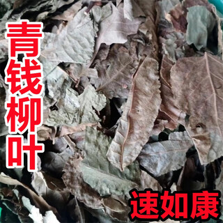 速如康 青钱柳 青饯柳叶 中药材 青钱柳叶 金钱柳 干货 【青钱柳叶】100克