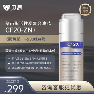 Beon r100 no. 1 filter element polypropylene activated carbon composite filter element containing zinc weak alkali cf20-zn+ t-r100