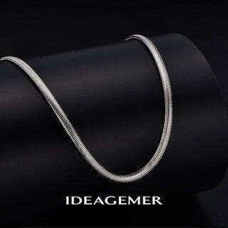 Ideagemer snake bone chain necklace men's fashion trend exquisite personality handsome and versatile european and american style men's plain chain clavicle chain fashion snake bone chain-50cm