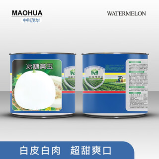Zhongke maohua xiangmanyuan jingmi no. 1 melon seed rock sugar meiyu 208 sweet and crispy white-skinned cantaloupe seed rock sugar imperial concubine sweet sweet jade 20g/box