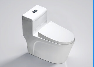 马桶孔距150/200/250/280/350/450/470/500/550/580/600mm坑距 600坑距配脲醛盖板 其他/other