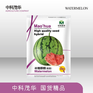 Zhongke maohua watermelon seed combination rock sugar kirin zaojia 8424 super sweet jingxin 16 degree ice kirin watermelon seed lazy man shenlong supreme treasure xinong no. 8 sweet king type rock sugar kirin (preferred) 5g/bag high purity type