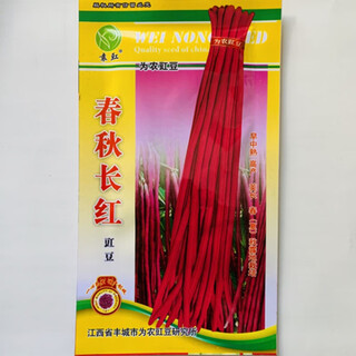Sulu yahui green eyebrow bean seeds red edge purple plum beans pig ear bean seeds lentil vegetable seeds garden field planting 2 packs of spring and autumn long red vat bean seeds with stand type