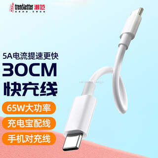 Trendsetter dual type-c data cable short-line power bank line pd fast charging charging line 65w suitable for xiaomi samsung lenovo huawei mobile phone tablet data transmission mutual charging line pair charging line