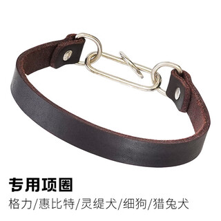 Juchuang greyhound whippet greyhound collar cowhide collar thin dog thin dog line dog line dog harrier leather neck cover dark brown ordinary model m size adjustment range 35-40cm