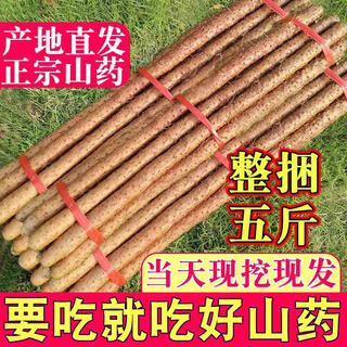 Authentic henan jiaozuo wenxian loam soil iron rod iron rod huaishan huaiyam fresh 5 jin jin equals 0.5 kg specialty whole box quasi-tiegui 5 jin jin equals 0.5 kg best-selling large fruit length is about 50