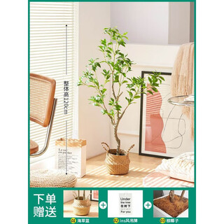 Flower e-flow simulated green plant mazuimu light luxury fake plant indoor living room clothing store window floor-standing ornaments hanging clock decoration mazuimu tree/1.2 meters flower basket
