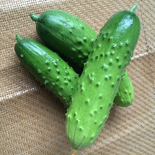 Old varieties of fruit cucumber seeds are unbeatable for home vegetable cultivation. they taste good and are of good quality and have a strong fragrance. about 50 pieces of crispy fruit cucumbers are packed in bulk.
