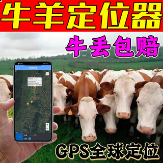 Gps locator for cattle, sheep, pets, children, elderly, cats, cars, electric vehicles, bicycles, dogs, small locator, precise positioning