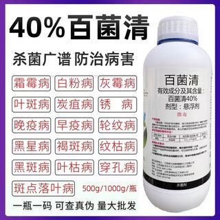 40% chlorothalonil, fruit tree, vegetable and flower rust, anthracnose, powdery mildew, leaf spot, downy mildew, pesticide and fungicide 500g