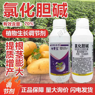 70% choline chloride garlic ginger onion sweet potato peanut potato ginger underground rhizome expansion agent 1000ml*1 bottle