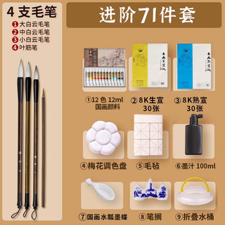 Surada chinese painting pigments chinese painting pigments chinese painting pigment set beginner students children's ink painting landscape painting set 12 colors 12ml upgrade set sd134 art sketching