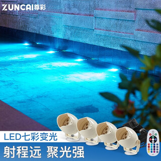 尊彩水下射灯户外防水水底灯装饰接电款亮化鱼缸灯超亮led鱼池专用灯 市电款 一拖一蛋壳射灯 七彩光