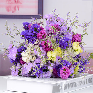 Aiman flowers real flowers yunnan dried flowers bouquet forget-me-not real flowers home decoration flower arrangement simple mix and match baby's breath dried flowers yellow + purple + light purple + rose red + white + lover's grass 30 pieces dried flower bag