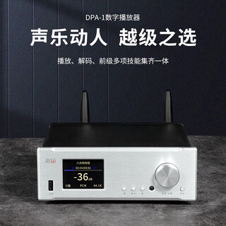 Paiyang dpa-1 digital audio player u disk lossless music dp-1 turntable digital broadcast decoding machine dpa-1 silver digital broadcast decoding machine digital broadcasting