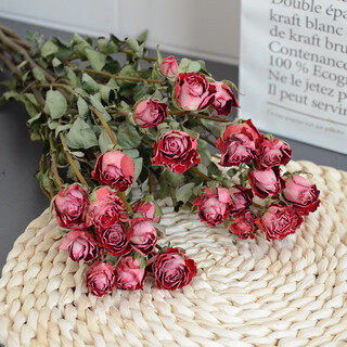 Aiman flowers real flowers multi-headed small roses dried flowers yunnan air-dried diy small fresh ins bouquet living room decoration ornaments stunning bubbles 10 pieces dried flower bag