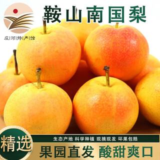 鲜姿正宗辽宁鞍山南果梨东北特产南国梨香水梨新鲜水果秋梨子中秋礼盒 4.5-4.8斤黄果约30枚家庭装