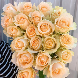 Qianqian whispering dounan base direct wholesale rose flowers nationwide express delivery girlfriend gifts home water-raised flower arrangements family champagne roses 18+2 loss prevention