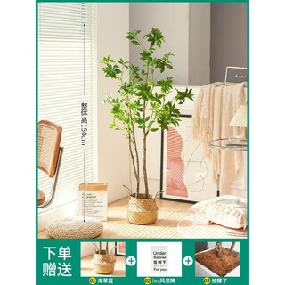 Flower e-flow simulated green plant mazuimu light luxury fake plant indoor living room clothing store window floor-standing ornaments hanging clock decoration mazuimu tree/1.5m double pole flower basket