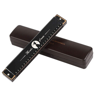 Chimei qimei 24-hole polyphonic teaching harmonica in c key (phoneme annotation) athens black