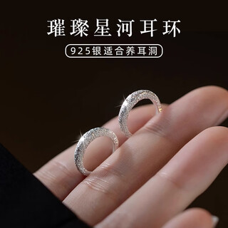 Daisy dream925 silver frosted plain hoop earrings high-end earrings women's niche ear piercing earrings 2025 new earrings 1 pair 14mm frosted earrings 925 silver