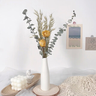 Aiman flowers real flowers dried flower bouquets creative real flowers living room home decoration ornaments nordic vase flowers dry crown oats eucalyptus includes ceramic bottle dried flower package