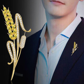 Crystal brooch men's suit coat jacket sweater corsage pin personalized trendy simple men's badge birthday gift maisui-x168